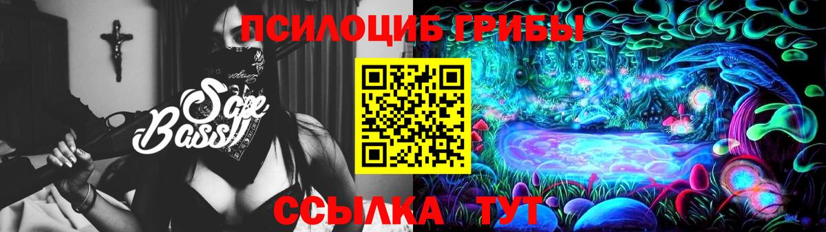 Псилоцибиновые грибы Cubensis Ивантеевка